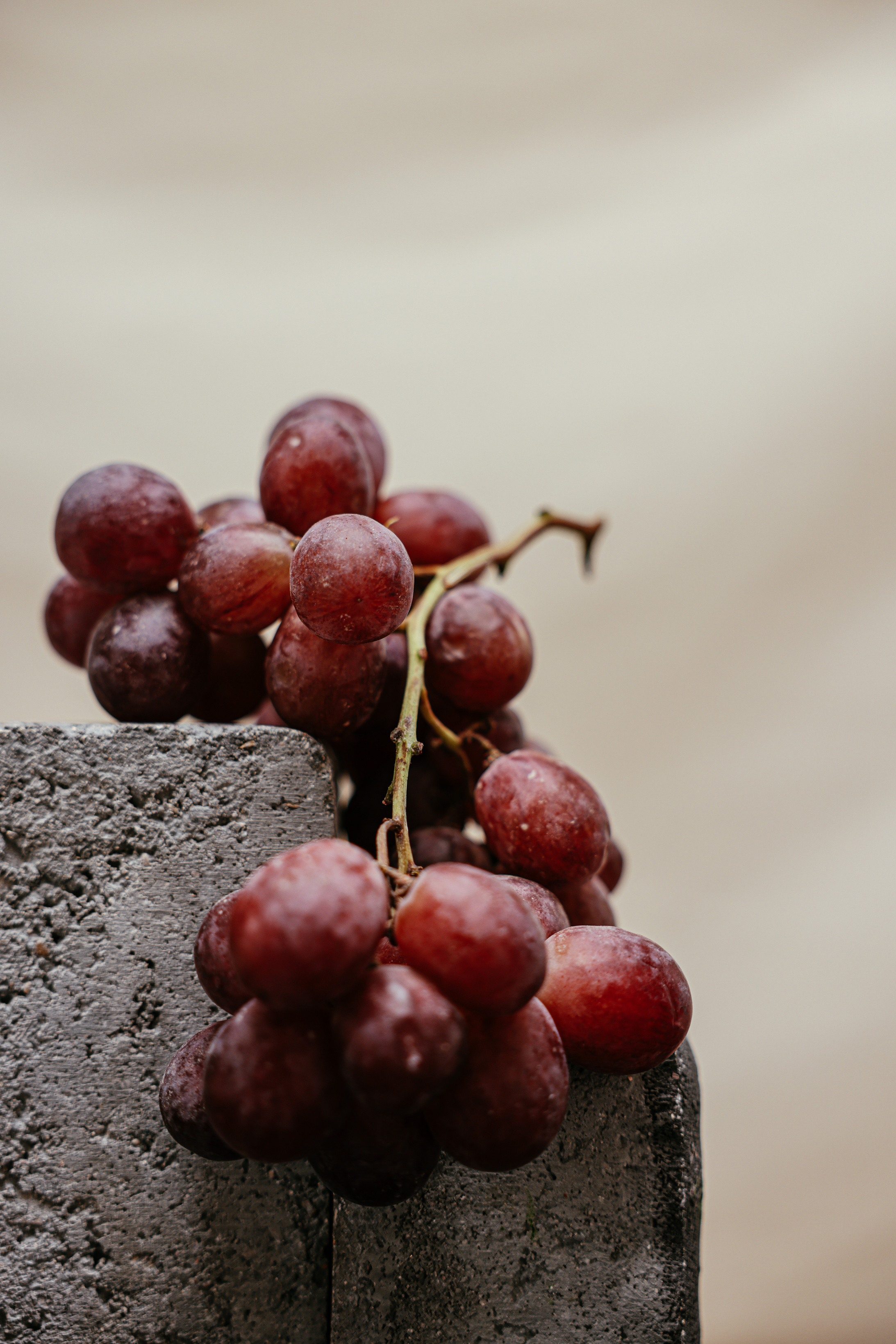 Fresh Purple Grapes on a Gray Concrete Surface